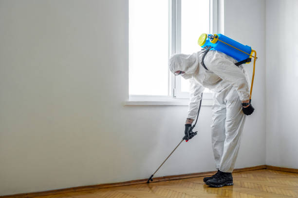 Best Best Pest Control Companies  in Pebble Creek, FL