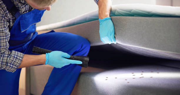 Reliable Pebble Creek, FL Pest Control Solutions