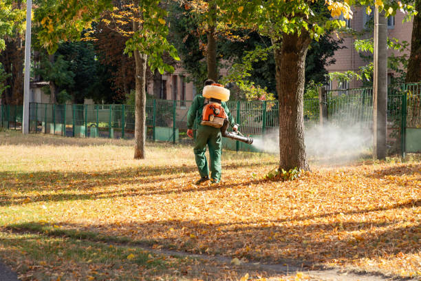 Best Pest Inspection Near Me  in Pebble Creek, FL