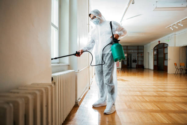 Best Termite Control Services  in Pebble Creek, FL