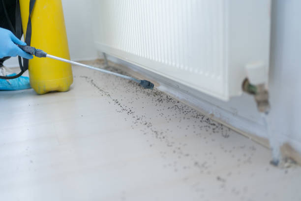 Best Pest Removal Services  in Pebble Creek, FL